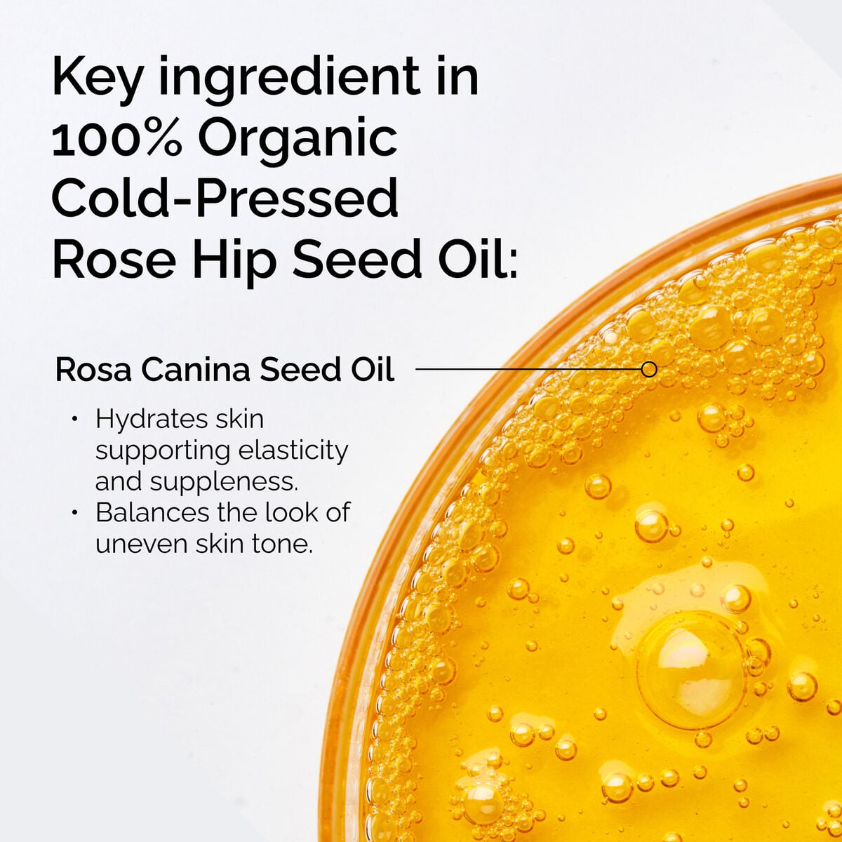 100-organic-cold-pressed-rose-hip-seed-oil-q2 FY25-D41247-ORD-Web-PDP-100-Rose-Hip-Oil-1x1-EN-2.jpg